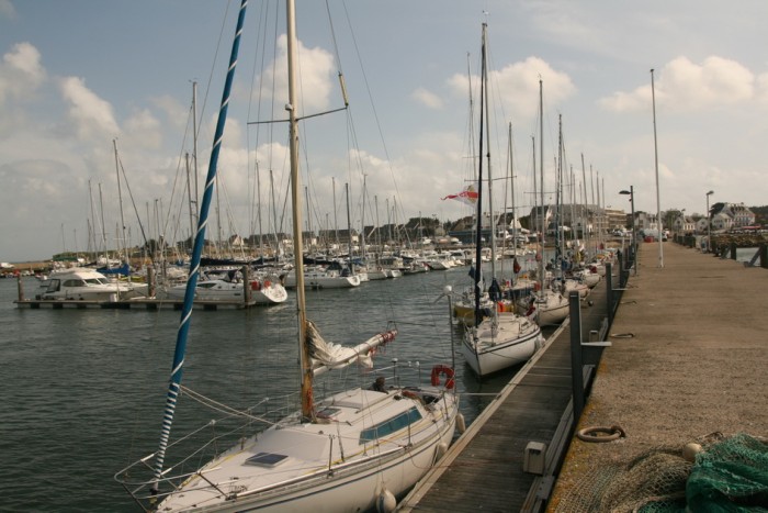 rushcup_5.jpg (223.14 Kio) Consulté 31304 fois rushcup_5.jpg