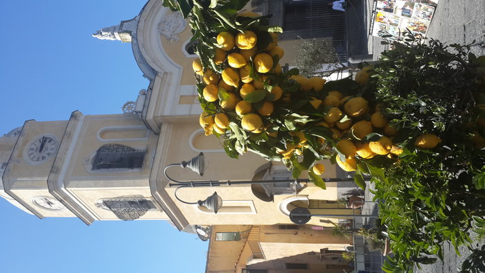 20170414_151608.jpg (3.7 Mio) Consulté 38149 fois Les citrons de Procida