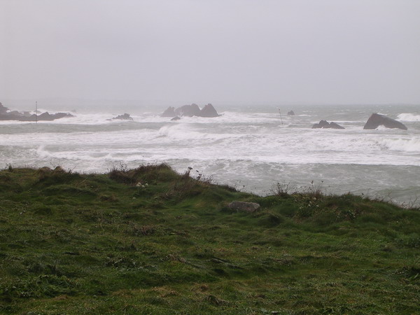 DSCN9915.jpg