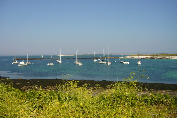 P1080143.JPG (615.25 Kio) Consulté 21723 fois P1080143.JPG