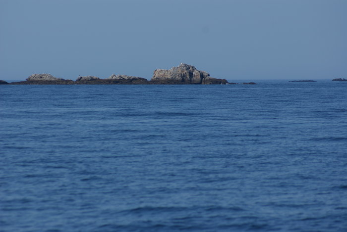 DSC00672.JPG (2.16 Mio) Consulté 25077 fois DSC00672.JPG