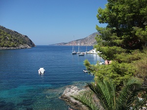 Asos_First30_Ratafia