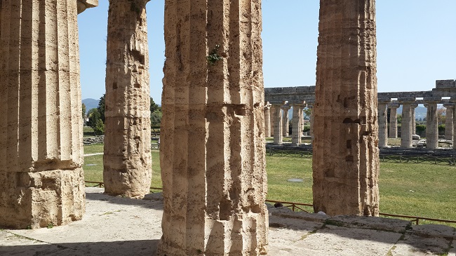 Paestum Maride First30