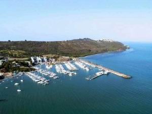 puertochico_300.jpg puertochico_300.jpg