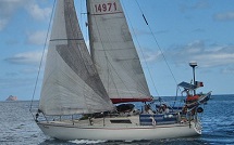 daltica first 30 215